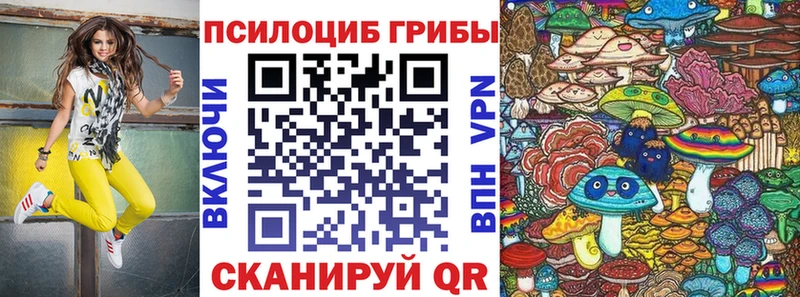 хочу наркоту  Владивосток  Галлюциногенные грибы Psilocybine cubensis 