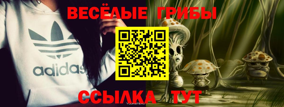 Владивосток  Псилоцибиновые грибы GOLDEN TEACHER  Вход с VPN 