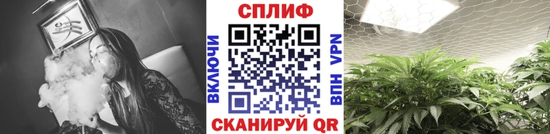 МАРИХУАНА марихуана  МЕГА   Владивосток 